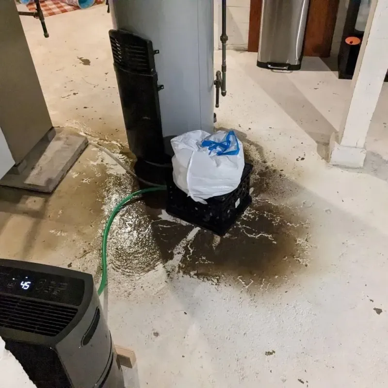 Sewage Backup Cleanup Service in Bay Springs, MS